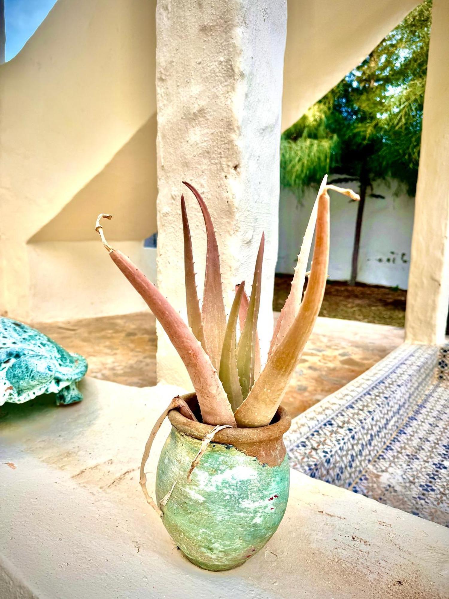 Dar Oueghlani - Maison D'Hotes El May Ngoại thất bức ảnh